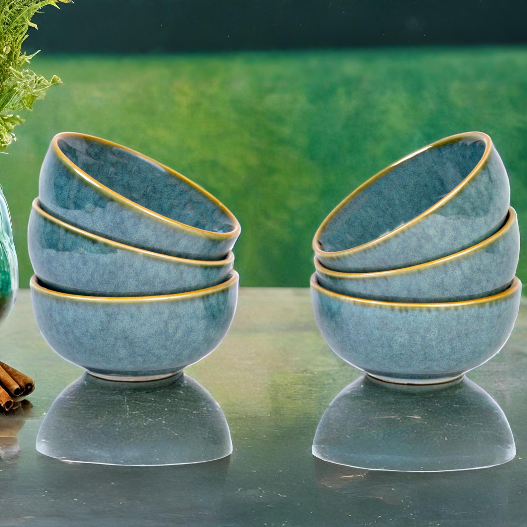 Ocean Premium Ceramic Small Dinner Bowls Set of 6
