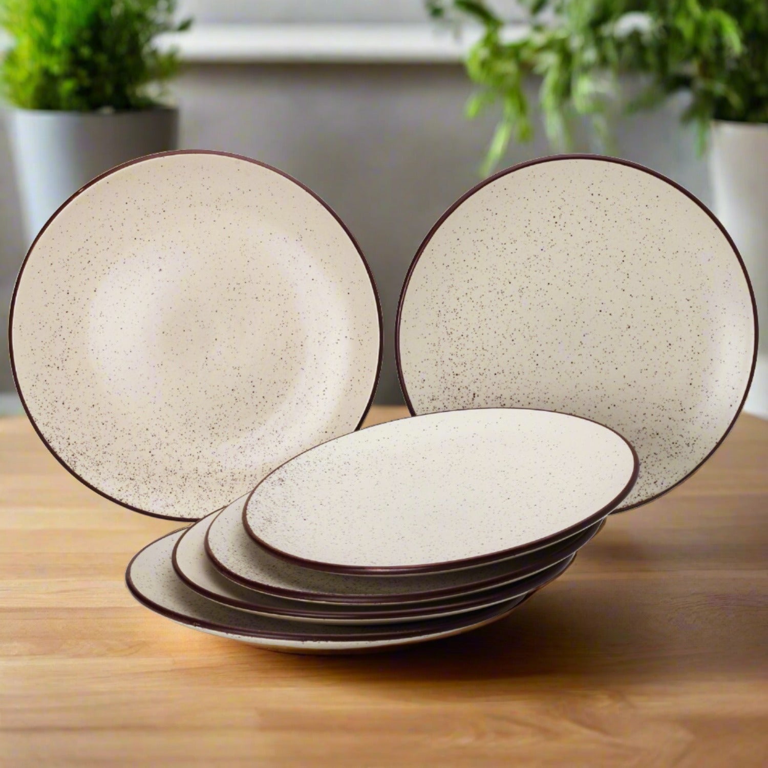 Dinner Plates