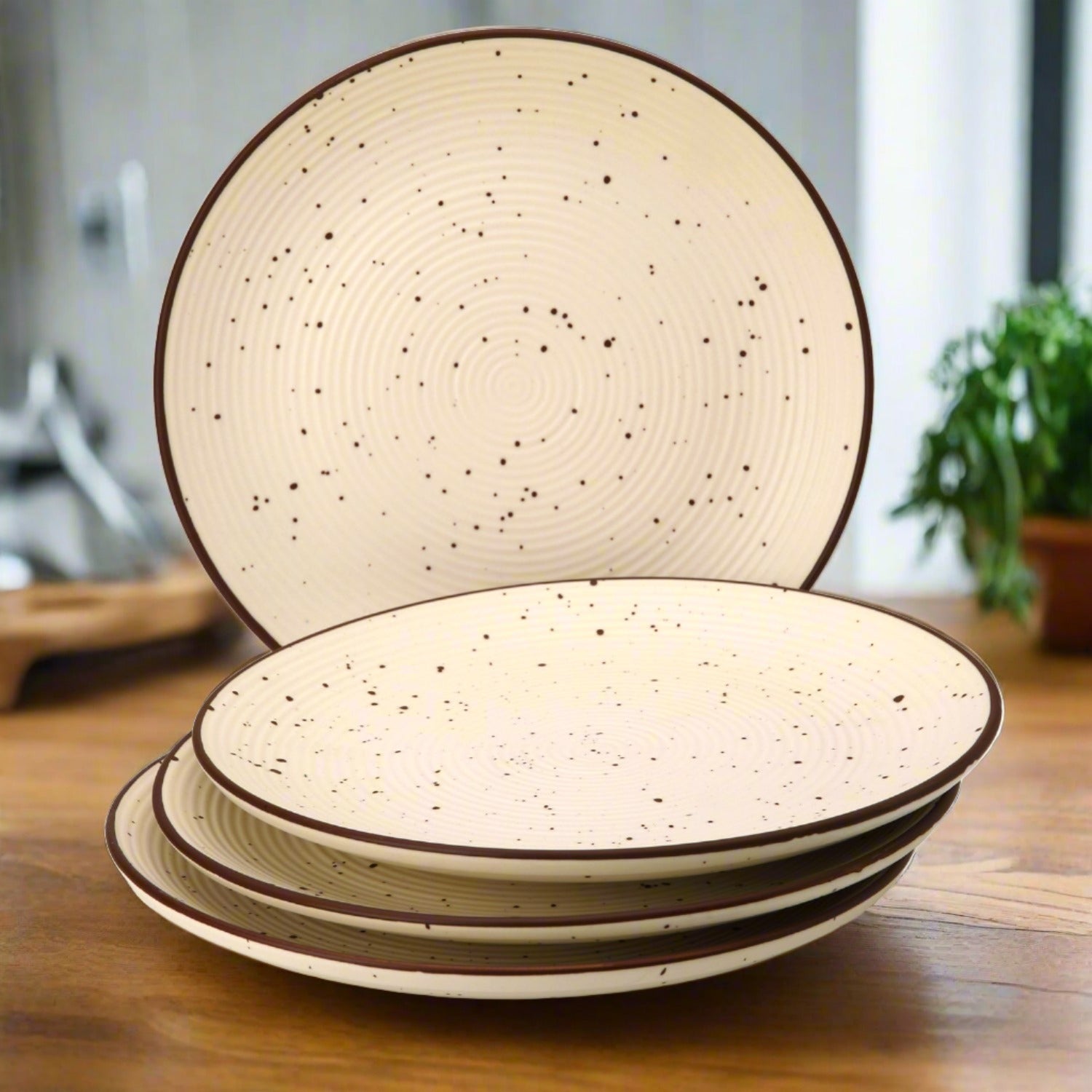 Frost Ceramic Dinner Plates Set of 4 Peice
