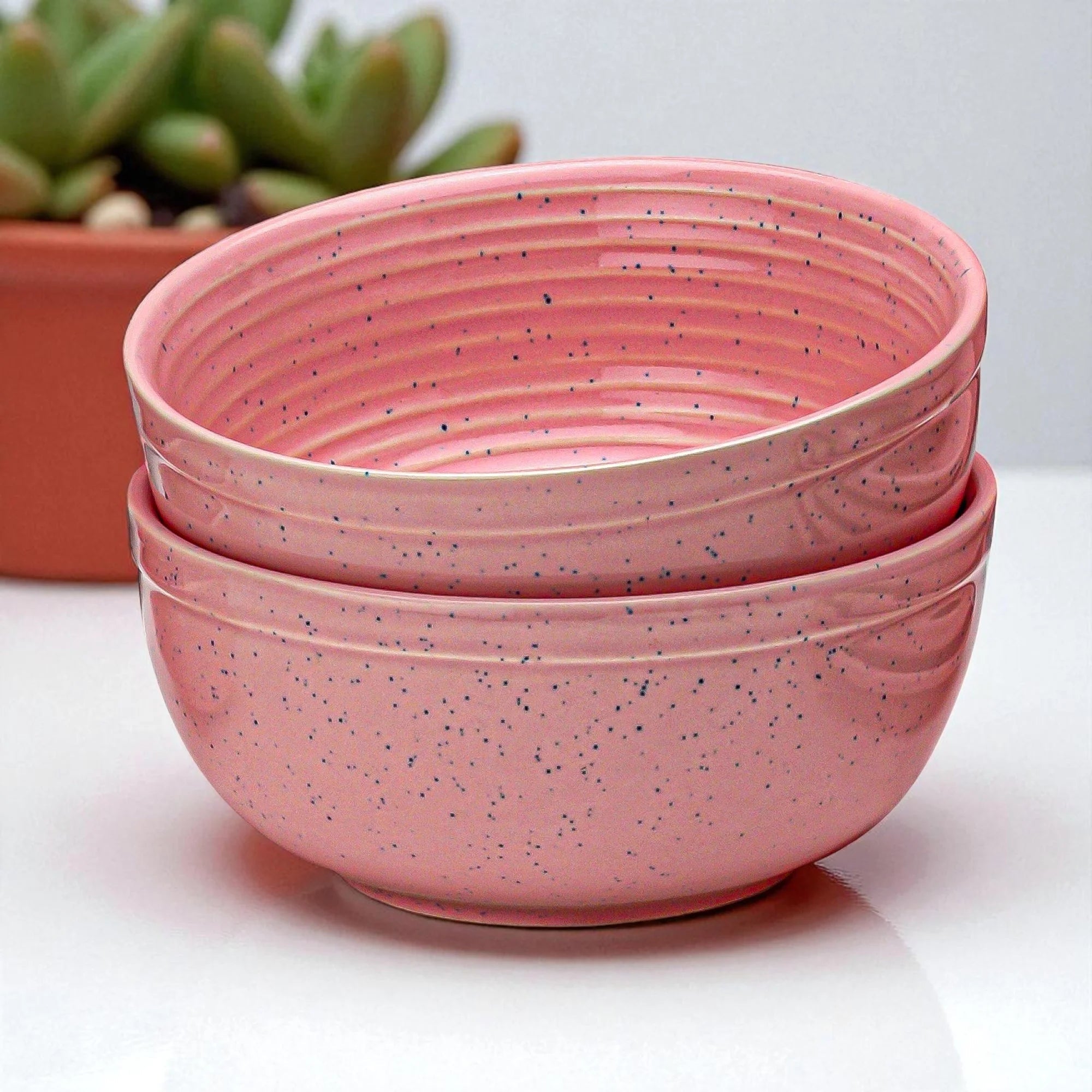 Appetizer Premium Ceramic Serving Bowls Set of 2 Bodhi House